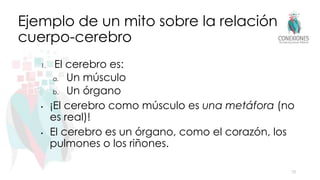 Ejemplo de un mito sobre la relación
cuerpo-cerebro
1. El cerebro es:
a. Un músculo
b. Un órgano
• ¡El cerebro como músculo es una metáfora (no
es real)!
• El cerebro es un órgano, como el corazón, los
pulmones o los riñones.
10
 