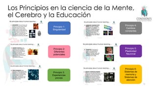 Los Principios en la ciencia de la Mente,
el Cerebro y la Educación
15
Principio 1:
Singularidad
Principio 2:
Diferentes
potenciales
Principio 3:
Experiencias
previas
Principio 4:
Cambios
constantes
Principio 5:
Plasticidad
Neuronal
Principio 6:
Sistemas de
memoria y
Sistemas de
atención
 