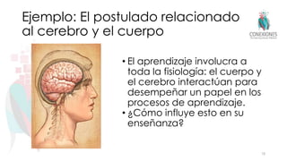 Ejemplo: El postulado relacionado
al cerebro y el cuerpo
• El aprendizaje involucra a
toda la fisiología: el cuerpo y
el cerebro interactúan para
desempeñar un papel en los
procesos de aprendizaje.
• ¿Cómo influye esto en su
enseñanza?
18
 