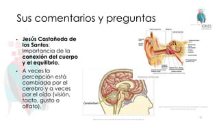Sus comentarios y preguntas
• Jesús Castañeda de
los Santos:
Importancia de la
conexión del cuerpo
y el equilibrio.
• A veces la
percepción está
cambiada por el
cerebro y a veces
por el oído (visión,
tacto, gusto o
olfato).
31
https://www.quora.com/What-part-of-the-brain-controls-balance
https://www.pacificneuroscienceinstitute.org/blog/ear-hearing/5-
things-about-hearing-and-balance/
 