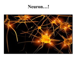 Neuron…!
 