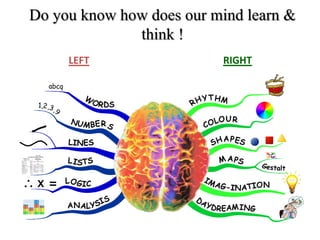 LEFT RIGHT
Do you know how does our mind learn &
think !
 