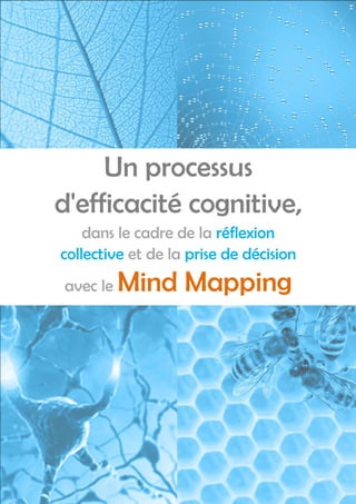 Un processus
d'efficacité cognitive,
    dans le cadre de la réflexion
collective et de la prise de décision
avec le   Mind Mapping




                                        1
 