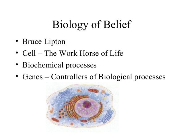 Cognitive enhancing drugs buy picture 4