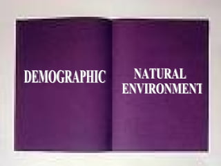 DEMOGRAPHIC NATURAL ENVIRONMENT 