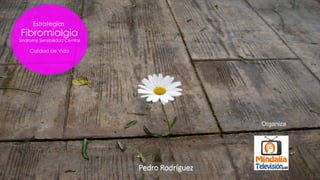 Estrategias
Fibromialgia
Síndrome Sensibilidad Central
Calidad de Vida
Organiza
Pedro Rodríguez
 