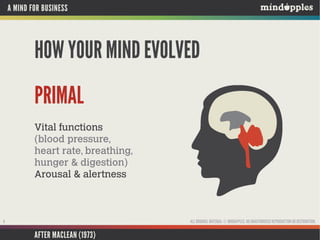 A MIND FOR BUSINESS

HOW YOUR MIND EVOLVED
PRIMAL
Vital functions
(blood pressure,
heart rate, breathing,
hunger & digestion)
Arousal & alertness

ALL ORIGINAL MATERIAL © MINDAPPLES. NO UNAUTHORISED REPRODUCTION OR DISTRIBUTION.

8

AFTER MACLEAN (1973)

 