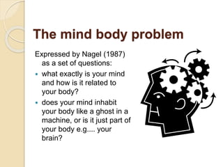 Philosophy Part 4: Dualism and the mind-body 'problem