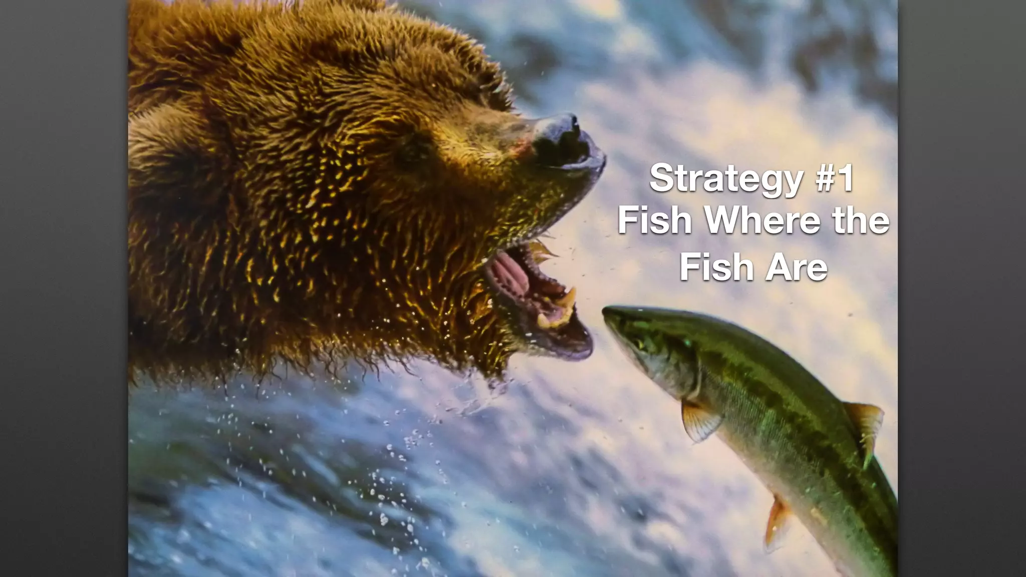 Strategy #1
Fish Where the
Fish Are