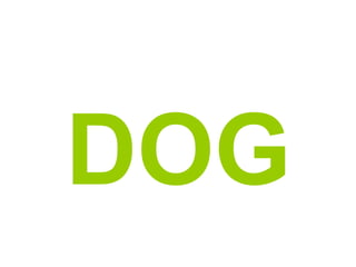 DOG

 