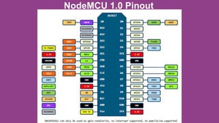 NodeMCU 1.0 Pinout
 