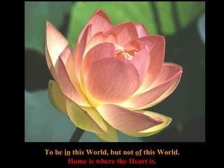 To be  in  this World, but not  of  this World. Home is where the Heart is. 
