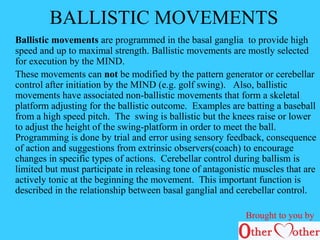 Mind from brain | PPT