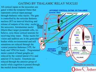 Mind from brain | PPT