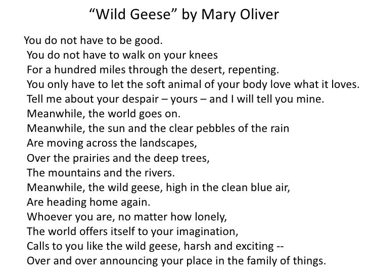 mary oliver wild geese mary oliver wild geese