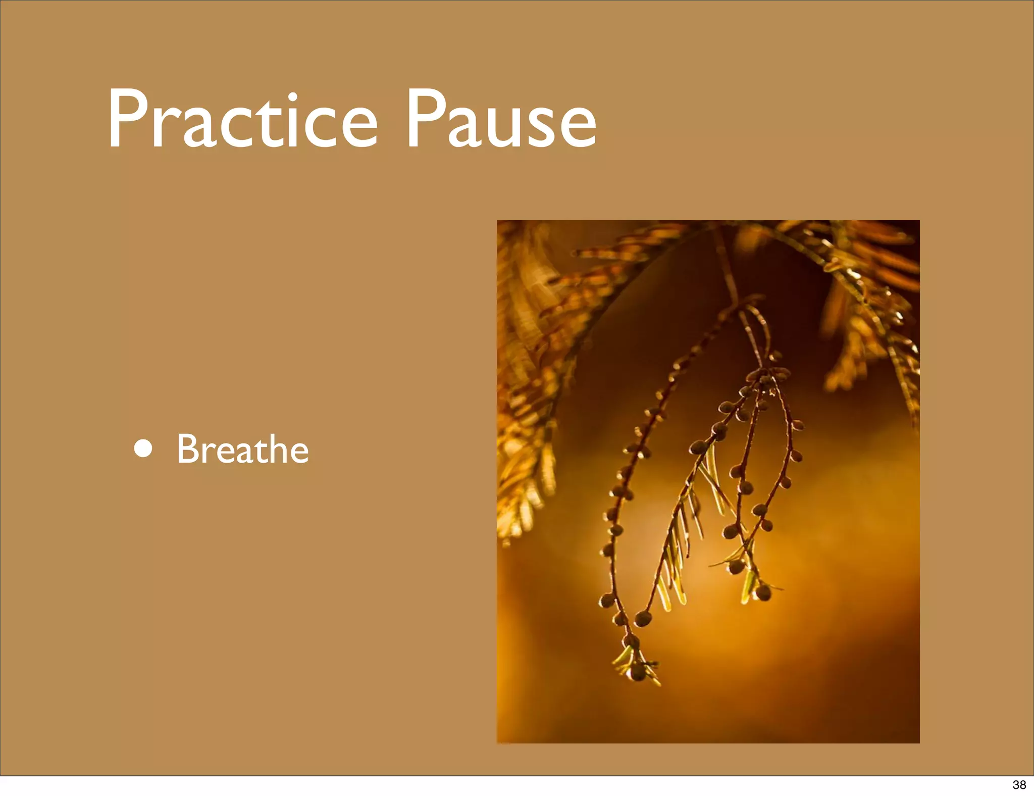 Practice Pause
• Breathe
38
 