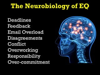 Deadlines
Feedback
Email Overload
Disagreements
Conflict
Overworking
Responsibility
Over-commitment
The Neurobiology of EQ
 