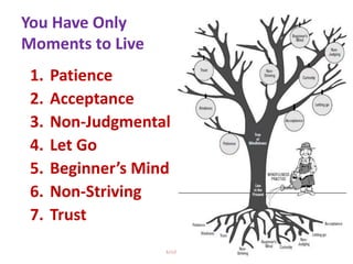Mindful life management