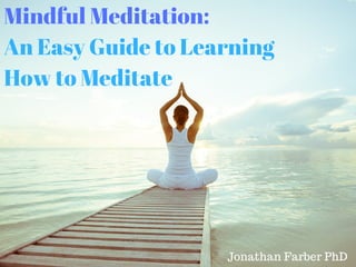 Mindful Meditation:
An Easy Guide to Learning
How to Meditate
Jonathan Farber PhD
 