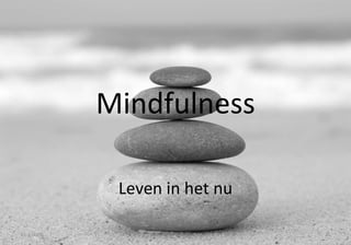 Mindfulness Leven in het nu 11-3-2009 Mindfulness 