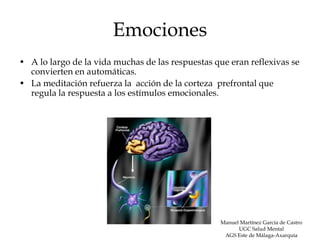 Emociones
• A lo largo de la vida muchas de las respuestas que eran reflexivas se
  convierten en automáticas.
• La meditación refuerza la acción de la corteza prefrontal que
  regula la respuesta a los estímulos emocionales.




                                                   Manuel Martínez García de Castro
                                                         UGC Salud Mental
                                                    AGS Este de Málaga-Axarquía
 