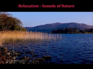 Relaxation - Sounds of Nature  