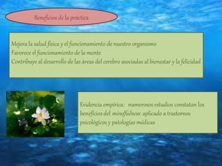 Evidencia empírica: numerosos estudios constatan los
beneficios del mindfulness aplicado a trastornos
psicológicos y patologías médicas
Mejora la salud física y el funcionamiento de nuestro organismo
Favorece el funcionamiento de la mente
Contribuye al desarrollo de las áreas del cerebro asociadas al bienestar y la felicidad
Beneficios de la práctica
 