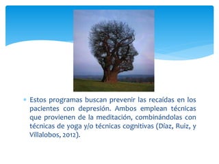  Estos programas buscan prevenir las recaídas en los
pacientes con depresión. Ambos emplean técnicas
que provienen de la meditación, combinándolas con
técnicas de yoga y/o técnicas cognitivas (Díaz, Ruiz, y
Villalobos, 2012).
 