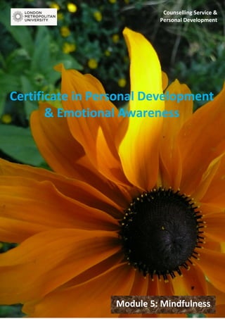 Counselling Service &
Personal Development
Certificate in Personal Development
& Emotional Awareness
Module 5: Mindfulness
 