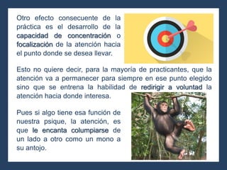 Esto no quiere decir, para la mayoría de practicantes, que la
atención va a permanecer para siempre en ese punto elegido
sino que se entrena la habilidad de redirigir a voluntad la
atención hacia donde interesa.
Pues si algo tiene esa función de
nuestra psique, la atención, es
que le encanta columpiarse de
un lado a otro como un mono a
su antojo.
Otro efecto consecuente de la
práctica es el desarrollo de la
capacidad de concentración o
focalización de la atención hacia
el punto donde se desea llevar.
 