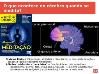 40
O que acontece no cérebro quando se
medita?
Sistema límbico (hipocampo, amígdala e hipotálamo) = central da emoção =
resposta rápida (sequestro emocional)
Lóbulos pré-frontais (neocórtex) = funções intelectuais superiores
(pensamento, escrita, fala, linguagem articulada) = sistema amortecedor
dos excessos da amígdala (risco/benefício) = resposta mais lenta
 