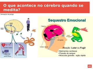 41
O que acontece no cérebro quando se
medita?
 