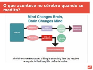 45
O que acontece no cérebro quando se
medita?
 