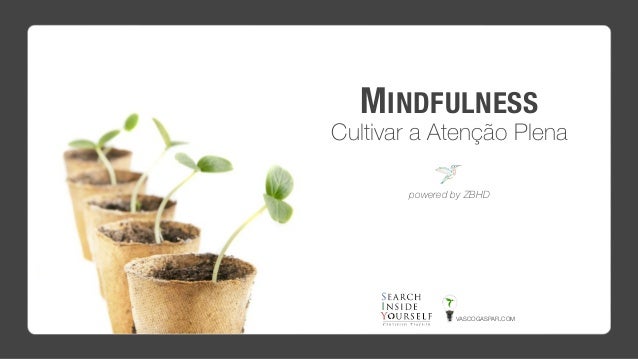 MINDFULNESS 
Cultivar a Atenção Plena
powered by ZBHD
VASCOGASPAR.COM
 