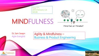 MINDFULNESS
Dr, Sam Swapn
Agile Evangilist
Agility & Mindfulness –
Business & Product Engineering
Aug 17th,
2017,Fremont, CA
94538
 