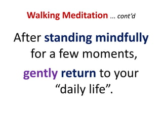 MindfulnessWalking Meditation