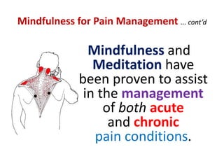 Mindfulness We are empowered to change what can be changed ... HOW?