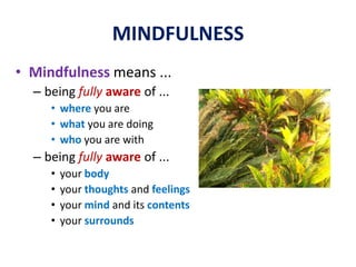MINDFULNESS“To be awake is to be alive.”Henry David Thoreau.