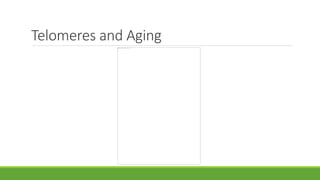 Telomeres and Aging
 