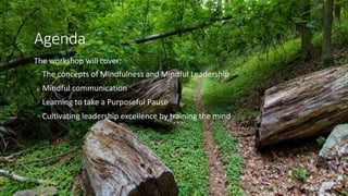 Agenda
The workshop will cover:
◦ The concepts of Mindfulness and Mindful Leadership
◦ Mindful communication
◦ Learning to take a Purposeful Pause
◦ Cultivating leadership excellence by training the mind
 