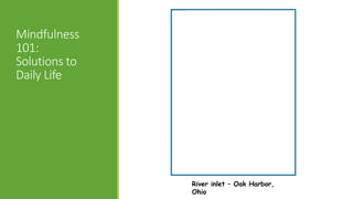 Mindfulness
101:
Solutions to
Daily Life
River inlet – Oak Harbor,
Ohio
 