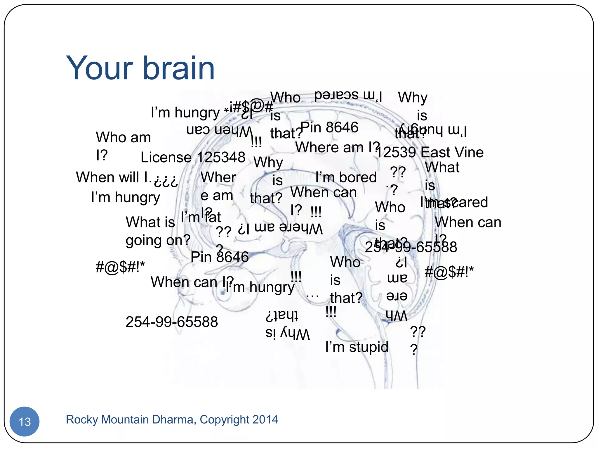 Your brain
I‟m scared

Who
Why
I‟m hungry
is
is
Pin 8646
…
that?
that?
Who am
!!!
Where am I?
12539 East Vine
I?
License 125348 Why
?? What
When will I…
Wher
I‟m bored …
is
is
?
e am that? When can
I‟m hungry
that?
Who I‟m scared
I? !!!
I?
What is I‟m fat
When can
is
??
going on?
I?
that?
254-99-65588
?
Pin 8646
Who
#@$#!*
#@$#!*
!!!
is
When can I? hungry
I‟m
… that?
!!!
254-99-65588
??
I‟m stupid ?
I‟m hungry

When can
I?
#@$#!*

???

Where am I?
Why is
that?

Rocky Mountain Dharma, Copyright 2014

Wh
ere
am
I?

13

 