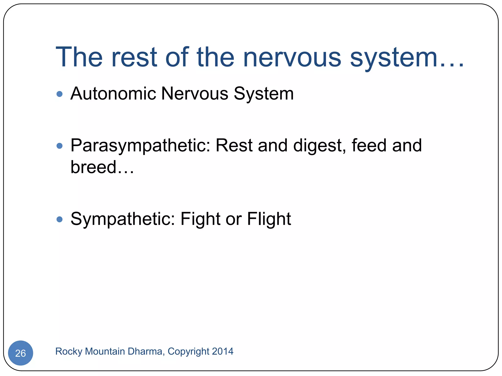 The rest of the nervous system…
 Autonomic Nervous System
 Parasympathetic: Rest and digest, feed and

breed…
 Sympathetic: Fight or Flight

26

Rocky Mountain Dharma, Copyright 2014

 