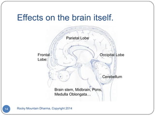 Effects on the brain itself.
Parietal Lobe

Frontal
Lobe:

Occipital Lobe

Cerebellum
Brain stem, Midbrain, Pons,
Medulla Oblongata…

14

Rocky Mountain Dharma, Copyright 2014

 