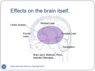 Effects on the brain itself.
Limbic System…

Parietal Lobe

Frontal
Lobe:

Occipital Lobe

Cerebellum
Brain stem, Midbrain, Pons,
Medulla Oblongata…

15

Rocky Mountain Dharma, Copyright 2014

 