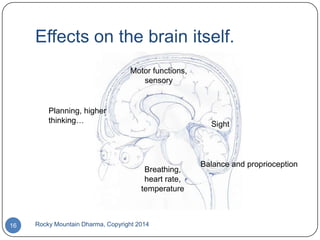 Effects on the brain itself.
Motor functions,
sensory

Planning, higher
thinking…

Sight

Breathing,
heart rate,
temperature

16

Rocky Mountain Dharma, Copyright 2014

Balance and proprioception

 
