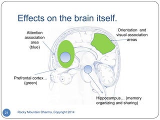 Effects on the brain itself.
Attention
association
area
(blue)

Orientation and
visual association
areas

Prefrontal cortex…
(green)

Hippocampus… (memory
organizing and sharing)
21

Rocky Mountain Dharma, Copyright 2014

 