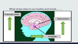 What stress does to our bodies and minds……..
Security guard
Memorymaker
Wiseleader
 
