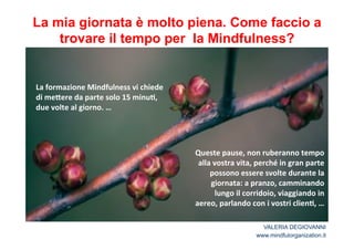 La mia giornata è molto piena. Come faccio a 
trovare il tempo per la Mindfulness? 
La*formazione*Mindfulness*vi*chiede* 
di*me<ere*da*parte*solo*15*minu2,* 
due*volte*al*giorno.*… 
Queste*pause,*non*ruberanno*tempo* 
alla*vostra*vita,*perché*in*gran*parte* 
possono*essere*svolte*durante*la* 
giornata:*a*pranzo,*camminando* 
lungo*il*corridoio,*viaggiando*in* 
aereo,*parlando*con*i*vostri*clien2,*… 
VALERIA DEGIOVANNI 
www.mindfulorganization.it 
 