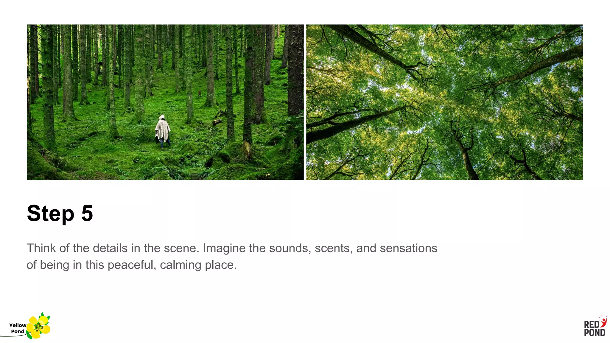 Step 5
Think of the details in the scene. Imagine the sounds, scents, and sensations
of being in this peaceful, calming place.
Yellow
Pond
 